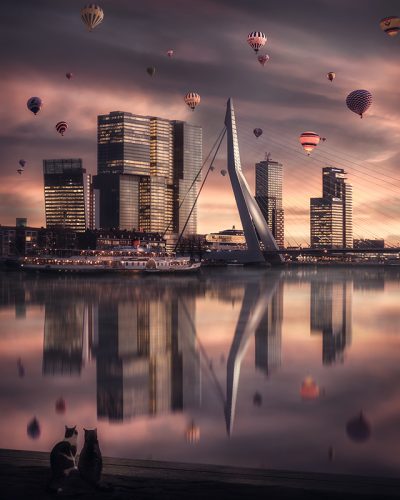 Bezienswaardigheden Rotterdam - De Erasmusbrug