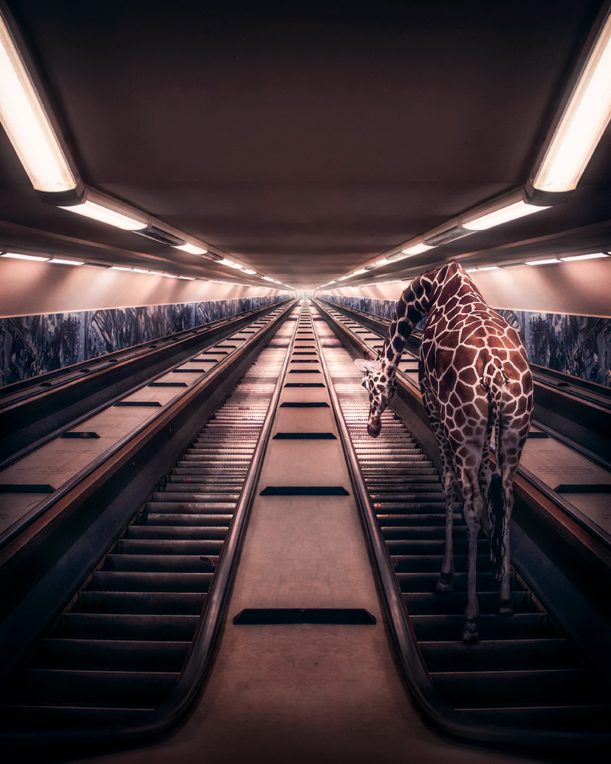 Rotterdam - Taken for Granted