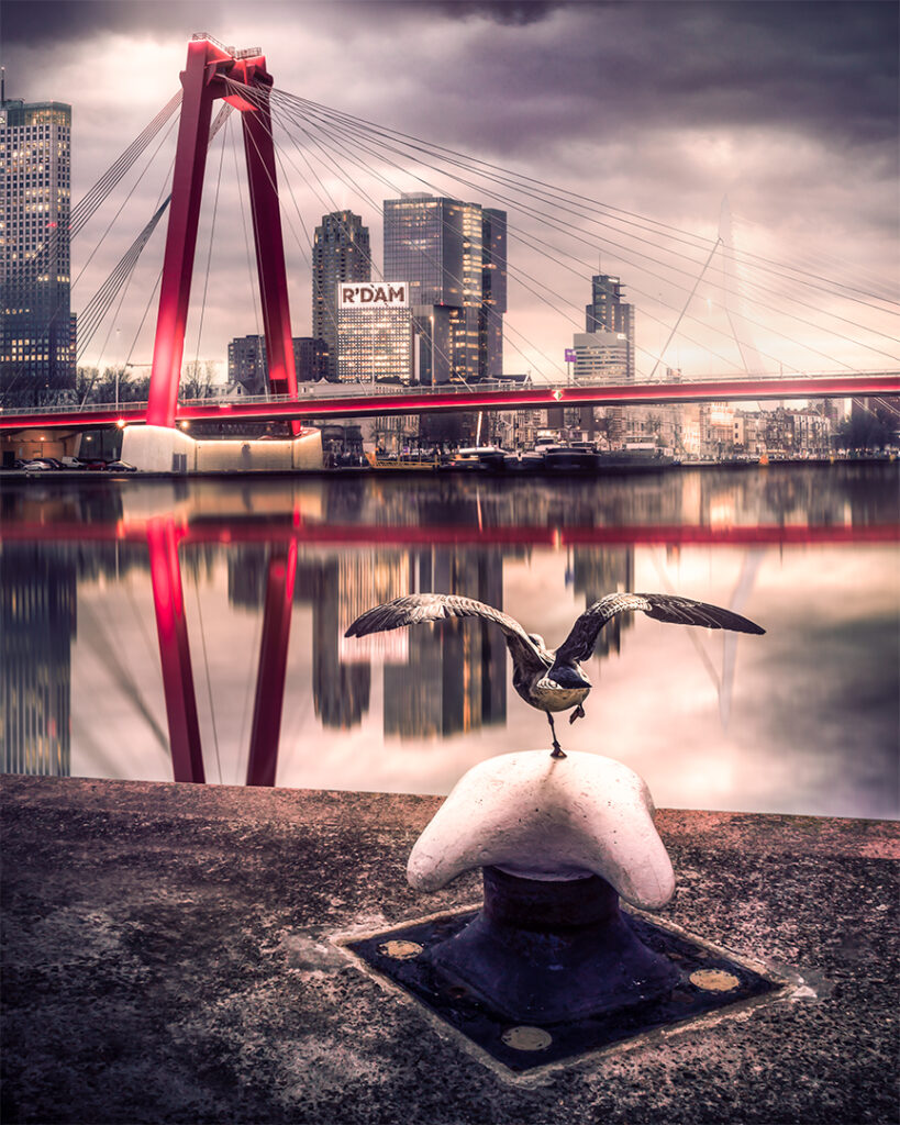 Sitting on that Dock Rotterdam